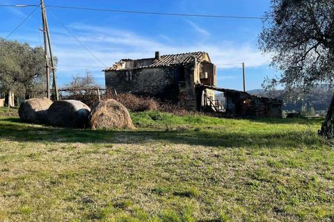 Villa in Amelia, Terni, Amelia - € 115.000 | Ref: AMELIA110-879534 - foto 5