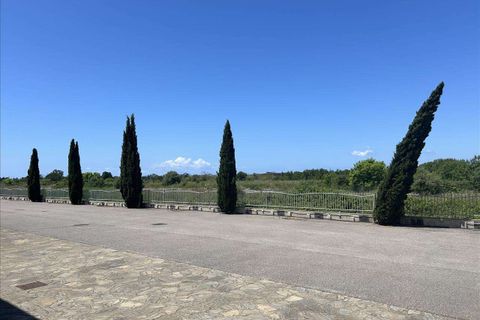 Leilighet i Scarlino, Grosseto, Scarlino - € 180 000 | Ref: AP227-891345 - foto 14
