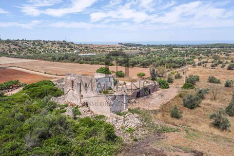 Farm i Gallipoli, Lecce, Gallipoli - € 490.000 | Ref: 2277-897150 - foto 2