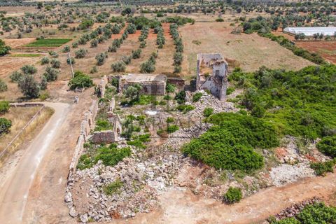 Farm i Gallipoli, Lecce, Gallipoli - € 490.000 | Ref: 2277-897150 - foto 3