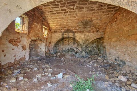 Farm i Gallipoli, Lecce, Gallipoli - € 490.000 | Ref: 2277-897150 - foto 4