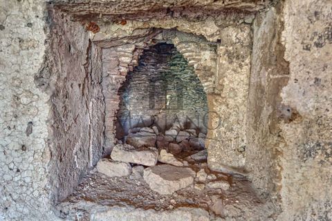 Farm i Gallipoli, Lecce, Gallipoli - € 490.000 | Ref: 2277-897150 - foto 7
