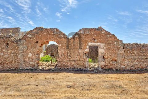 Farm i Gallipoli, Lecce, Gallipoli - € 490.000 | Ref: 2277-897150 - foto 8