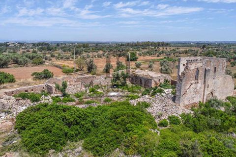 Farm i Gallipoli, Lecce, Gallipoli - € 490.000 | Ref: 2277-897150 - foto 16