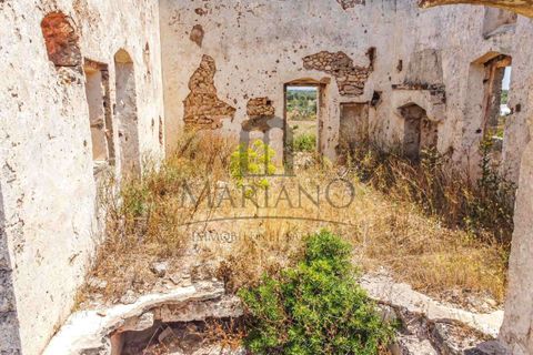 Farm i Gallipoli, Lecce, Gallipoli - € 490.000 | Ref: 2277-897150 - foto 17