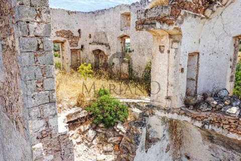 Farm i Gallipoli, Lecce, Gallipoli - € 490.000 | Ref: 2277-897150 - foto 18