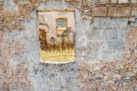 Farm i Gallipoli, Lecce, Gallipoli - € 490.000 | Ref: 2277-897150 - foto 19