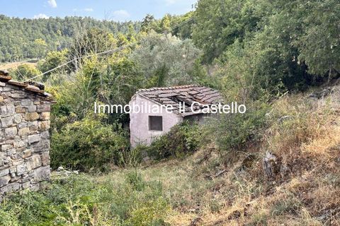 Villa i Piegaro, Perugia, Piegaro - € 1.250.000 | Ref: AG11-902892 - foto 4