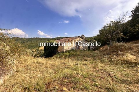 Villa i Piegaro, Perugia, Piegaro - € 1.250.000 | Ref: AG11-902892 - foto 6