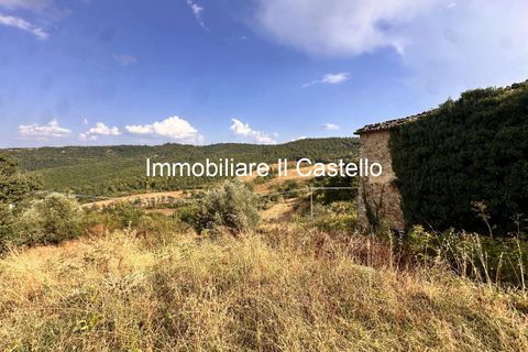 Villa i Piegaro, Perugia, Piegaro - € 1.250.000 | Ref: AG11-902892 - foto 7