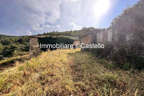 Villa i Piegaro, Perugia, Piegaro - € 1.250.000 | Ref: AG11-902892 - foto 9