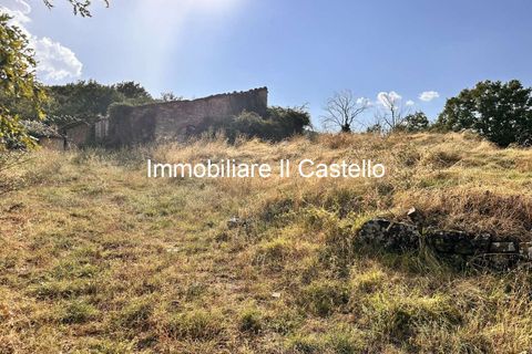 Villa i Piegaro, Perugia, Piegaro - € 1.250.000 | Ref: AG11-902892 - foto 11