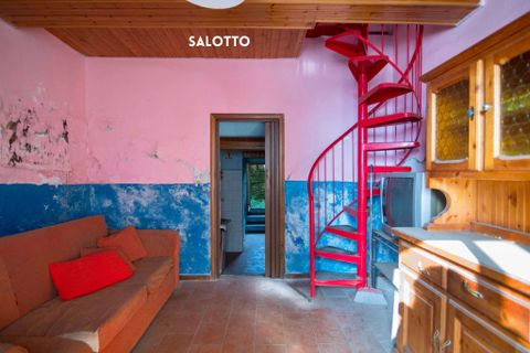 Villa i Roccatederighi, Grosseto, Roccatederighi - € 100.000 | Ref: 41741006-61-908328 - foto 23