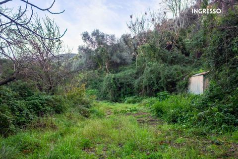 Villa a Scarlino, Grosseto, Scarlino - € 85.000 | Ref: 41741006-176-908510 - foto 3