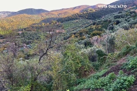 Villa a Scarlino, Grosseto, Scarlino - € 85.000 | Ref: 41741006-176-908510 - foto 4