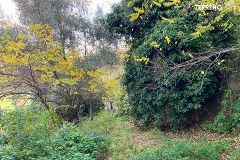 Villa a Scarlino, Grosseto, Scarlino - € 85.000 | Ref: 41741006-176-908510 - foto 6
