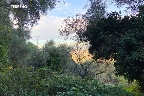 Villa a Scarlino, Grosseto, Scarlino - € 85.000 | Ref: 41741006-176-908510 - foto 7