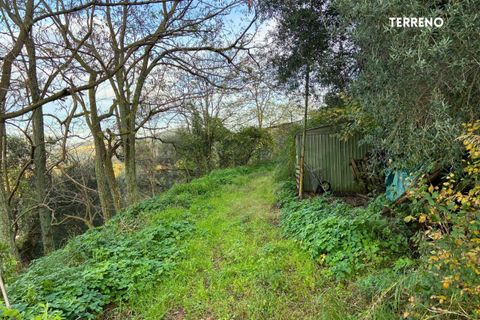Villa a Scarlino, Grosseto, Scarlino - € 85.000 | Ref: 41741006-176-908510 - foto 9