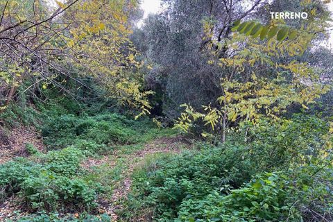 Villa a Scarlino, Grosseto, Scarlino - € 85.000 | Ref: 41741006-176-908510 - foto 14