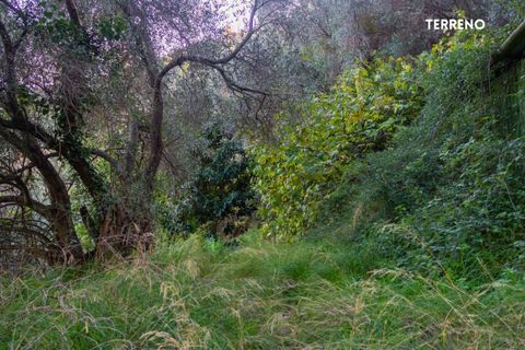 Villa a Scarlino, Grosseto, Scarlino - € 85.000 | Ref: 41741006-176-908510 - foto 15