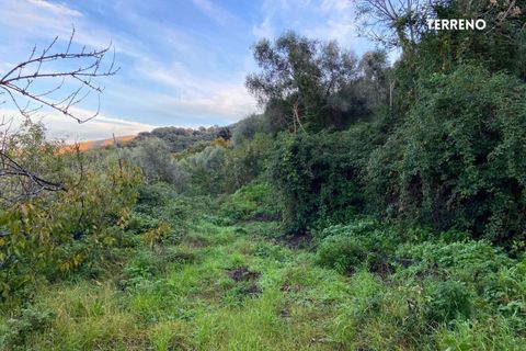Villa a Scarlino, Grosseto, Scarlino - € 85.000 | Ref: 41741006-176-908510 - foto 16