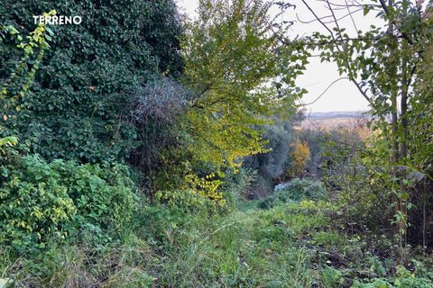 Villa a Scarlino, Grosseto, Scarlino - € 85.000 | Ref: 41741006-176-908510 - foto 18