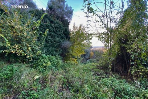 Villa a Scarlino, Grosseto, Scarlino - € 85.000 | Ref: 41741006-176-908510 - foto 20