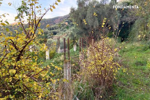 Villa a Scarlino, Grosseto, Scarlino - € 85.000 | Ref: 41741006-176-908510 - foto 21