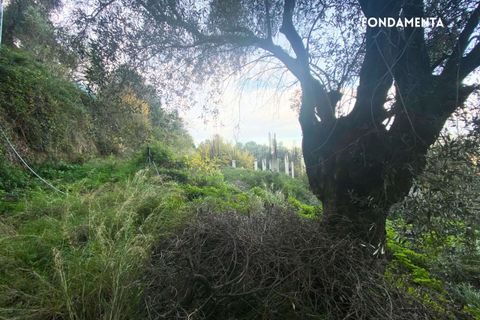 Villa a Scarlino, Grosseto, Scarlino - € 85.000 | Ref: 41741006-176-908510 - foto 24