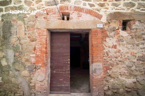 Villa i Roccastrada, Grosseto, Roccastrada - € 60.000 | Ref: 41741006-175-908536 - foto 24