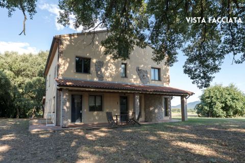 Villa i Montemassi, Grosseto, Montemassi - € 850.000 | Ref: 41741006-159-908640 - foto 6