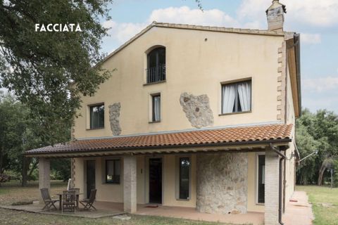 Villa i Montemassi, Grosseto, Montemassi - € 850.000 | Ref: 41741006-159-908640 - foto 24