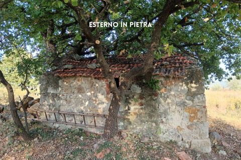 Villa i Roccastrada, Grosseto, Roccastrada - € 50.000 | Ref: 41741006-167-908718 - foto 7