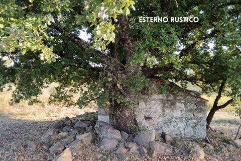 Villa i Roccastrada, Grosseto, Roccastrada - € 50.000 | Ref: 41741006-167-908718 - foto 8