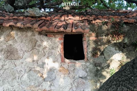 Villa i Roccastrada, Grosseto, Roccastrada - € 50.000 | Ref: 41741006-167-908718 - foto 11