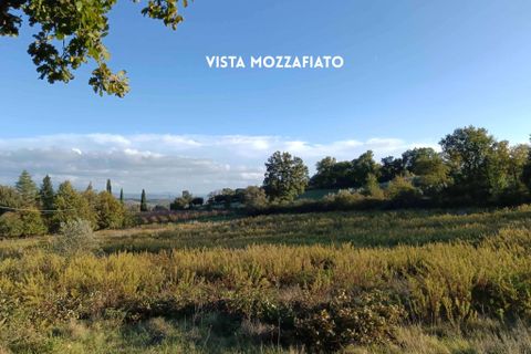 Villa i Roccastrada, Grosseto, Roccastrada - € 50.000 | Ref: 41741006-167-908718 - foto 12