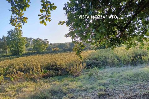 Villa i Roccastrada, Grosseto, Roccastrada - € 50.000 | Ref: 41741006-167-908718 - foto 13