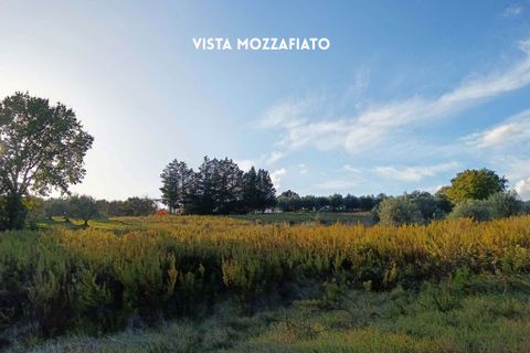 Villa i Roccastrada, Grosseto, Roccastrada - € 50.000 | Ref: 41741006-167-908718 - foto 14