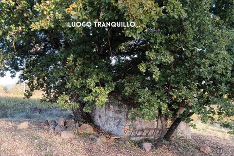 Villa i Roccastrada, Grosseto, Roccastrada - € 50.000 | Ref: 41741006-167-908718 - foto 20