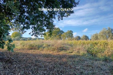 Villa i Roccastrada, Grosseto, Roccastrada - € 50.000 | Ref: 41741006-167-908718 - foto 25