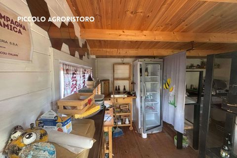 Villa a Roccatederighi, Grosseto, Roccatederighi - € 45.000 | Ref: 41741006-161-908848 - foto 5