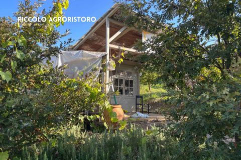 Villa a Roccatederighi, Grosseto, Roccatederighi - € 45.000 | Ref: 41741006-161-908848 - foto 6