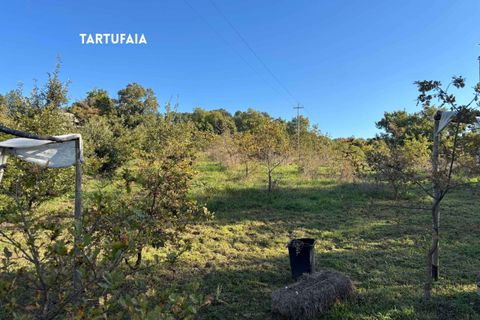 Villa a Roccatederighi, Grosseto, Roccatederighi - € 45.000 | Ref: 41741006-161-908848 - foto 8