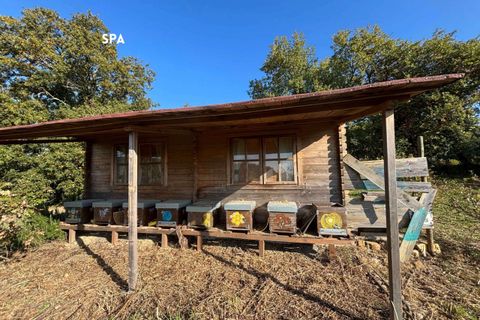 Villa a Roccatederighi, Grosseto, Roccatederighi - € 45.000 | Ref: 41741006-161-908848 - foto 11