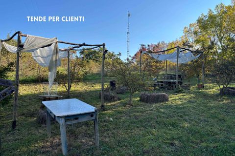 Villa a Roccatederighi, Grosseto, Roccatederighi - € 45.000 | Ref: 41741006-161-908848 - foto 14