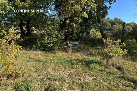 Villa a Roccatederighi, Grosseto, Roccatederighi - € 45.000 | Ref: 41741006-161-908848 - foto 17
