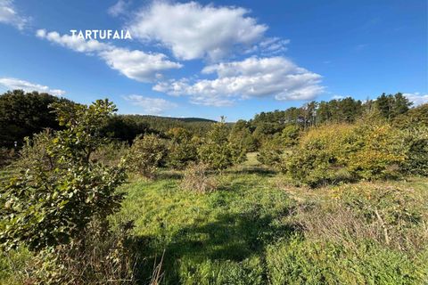 Villa a Roccatederighi, Grosseto, Roccatederighi - € 45.000 | Ref: 41741006-161-908848 - foto 21