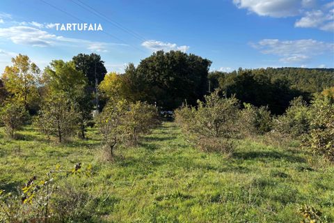 Villa a Roccatederighi, Grosseto, Roccatederighi - € 45.000 | Ref: 41741006-161-908848 - foto 23