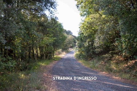 Villa i Roccatederighi, Grosseto, Roccatederighi - € 65.000 | Ref: 41741006-147-909134 - foto 4