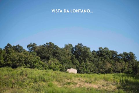 Villa i Roccatederighi, Grosseto, Roccatederighi - € 65.000 | Ref: 41741006-147-909134 - foto 5